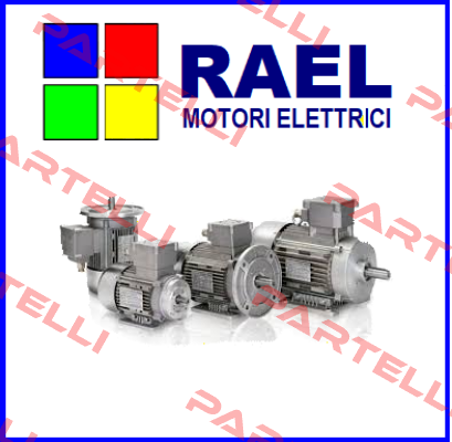 motor enclosure in Ex db, terminal box in E RAEL MOTORI ELETTRICI