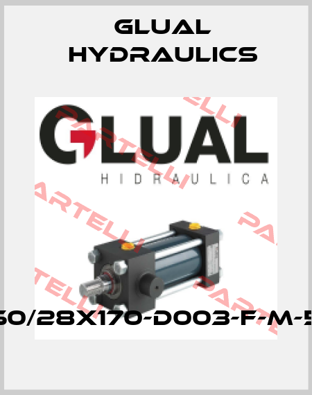 KZ-50/28x170-D003-F-M-50-B Glual Hydraulics