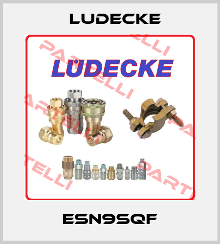 ESN9SQF Ludecke