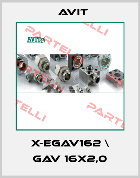 X-EGAV162 \ GAV 16X2,0 Avit