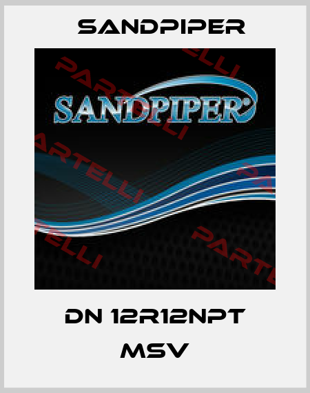 DN 12R12NPT MSV Sandpiper