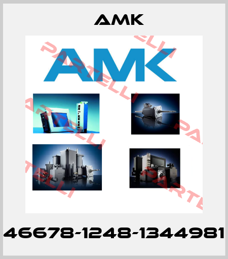 46678-1248-1344981 AMK