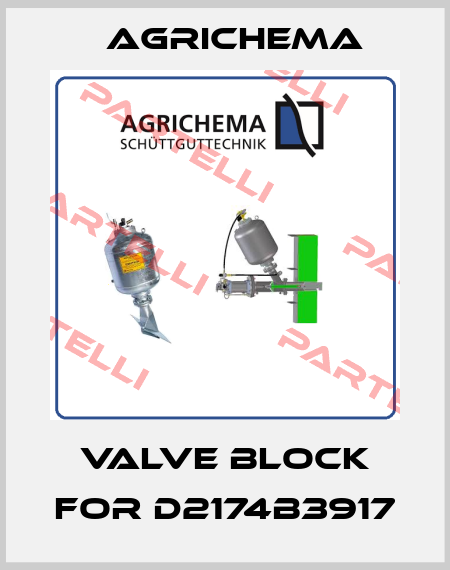 valve block for D2174B3917 Agrichema