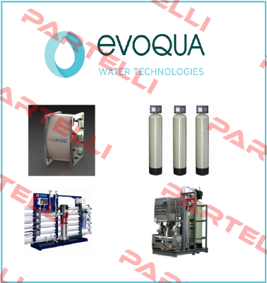 repair kit for V2000 Evoqua Water Technologies