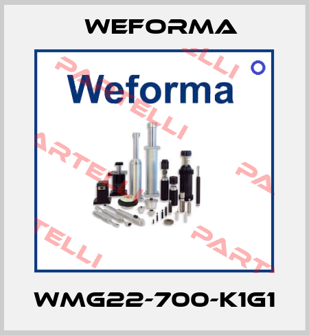 WMG22-700-K1G1 Weforma