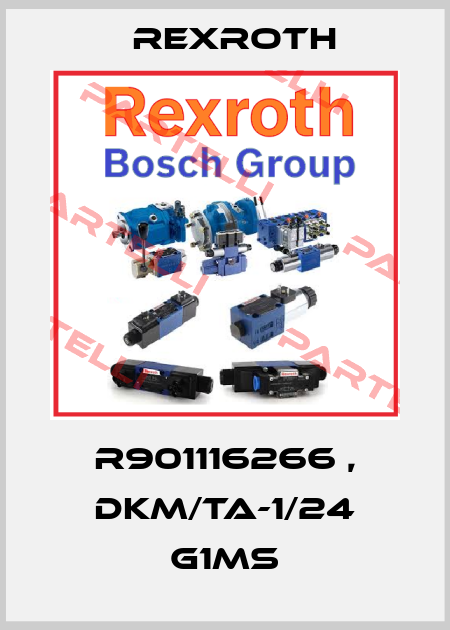 R901116266 , DKM/TA-1/24 G1MS Rexroth