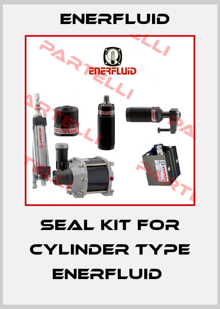 SEAL KIT FOR CYLINDER TYPE ENERFLUID  Enerfluid