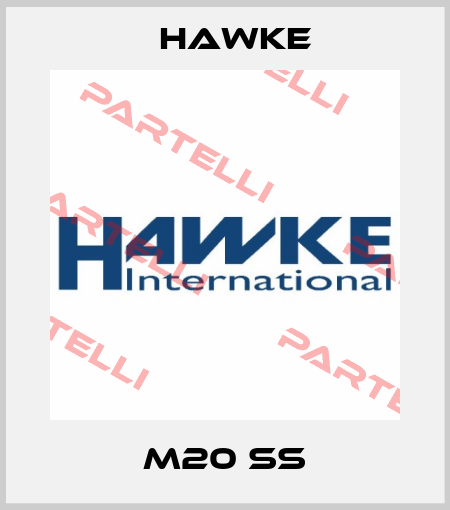 M20 SS Hawke