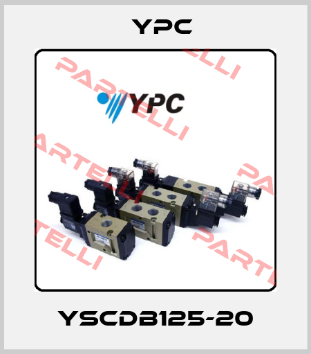 YSCDB125-20 YPC