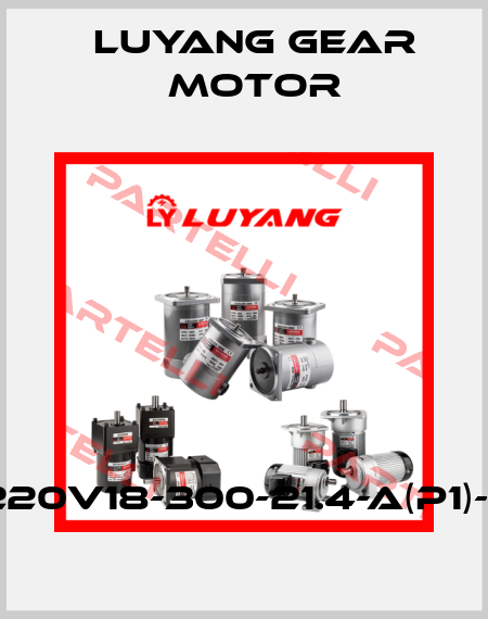 J220V18-300-21.4-A(P1)-G1 Luyang Gear Motor