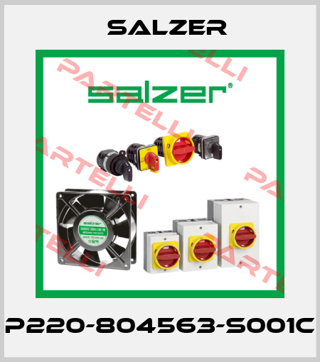 P220-804563-S001C Salzer