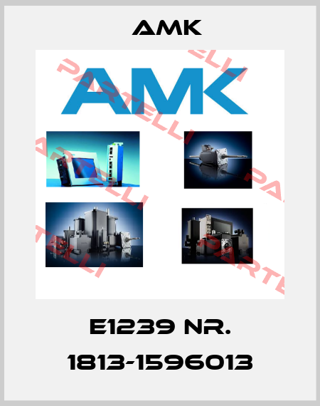 E1239 NR. 1813-1596013 AMK