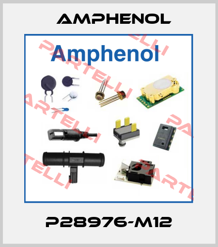 P28976-M12 Amphenol