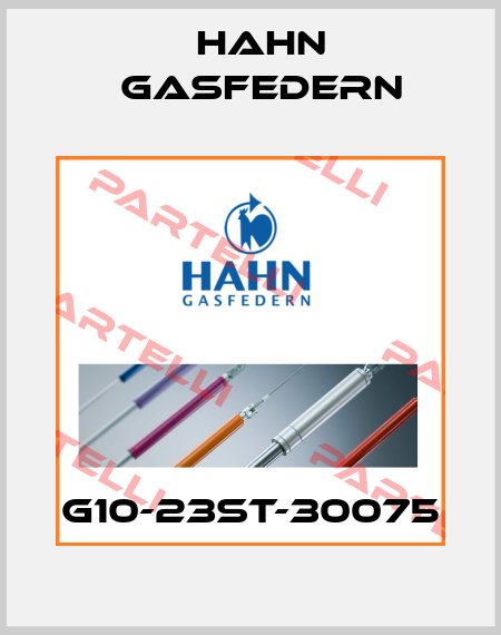 G10-23ST-30075 Hahn Gasfedern