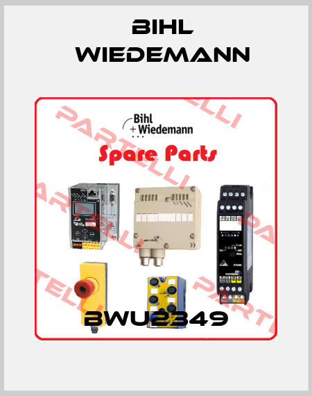 BWU2349 Bihl Wiedemann