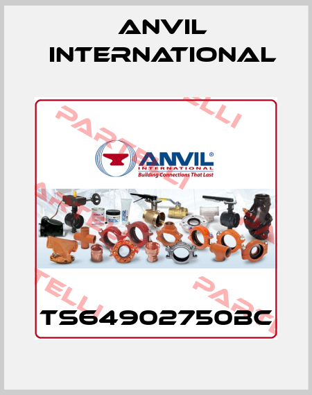 TS64902750BC Anvil International
