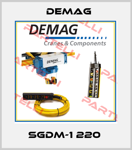 SGDM-1 220  Demag