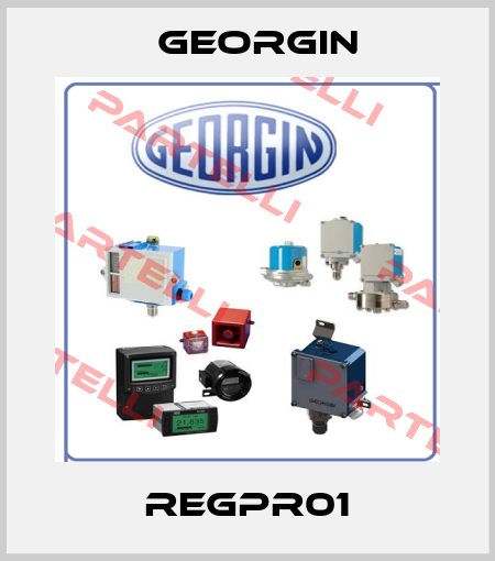REGPR01 Georgin