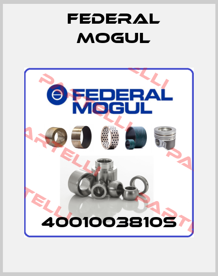 4001003810S Federal Mogul
