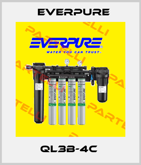 QL3B-4C  Everpure