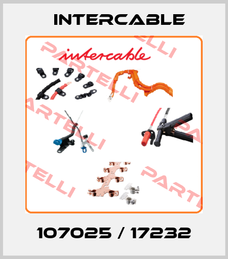 107025 / 17232 Intercable