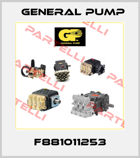 F881011253 General Pump