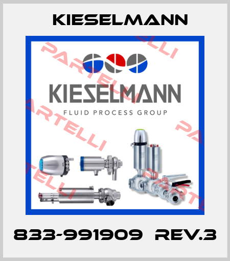 833-991909　Rev.3 Kieselmann