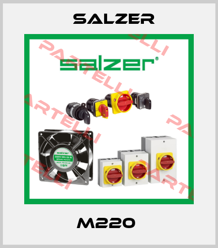 M220  Salzer