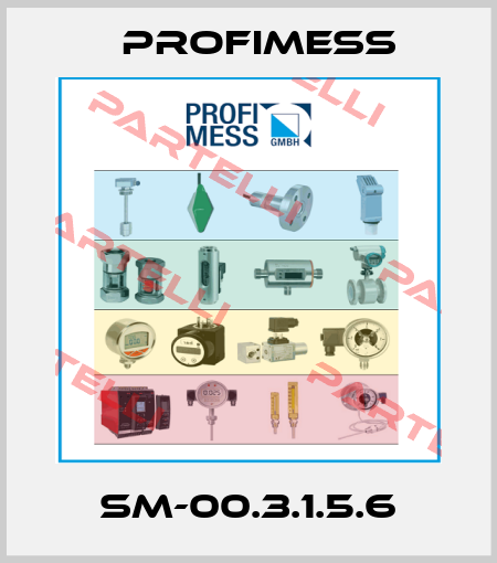 SM-00.3.1.5.6 Profimess