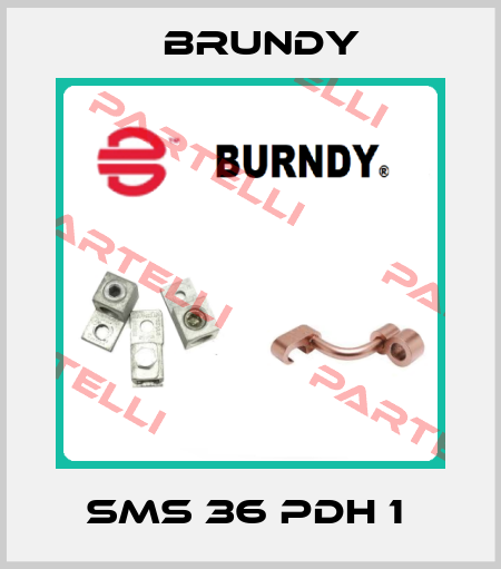 SMS 36 PDH 1  Brundy