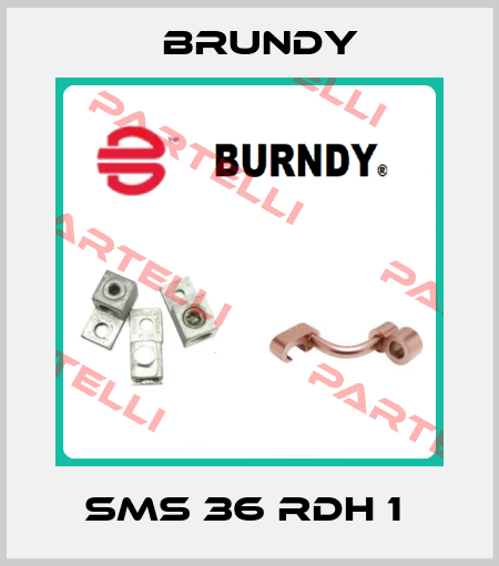 SMS 36 RDH 1  Brundy