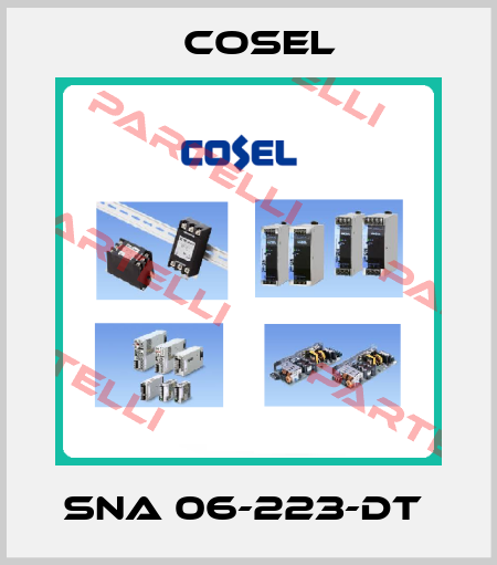 SNA 06-223-DT  Cosel