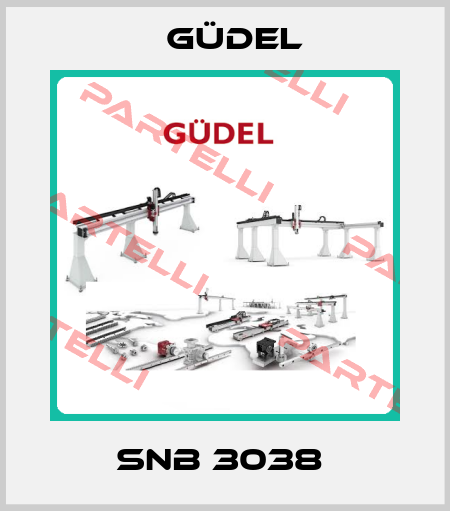 SNB 3038  Güdel