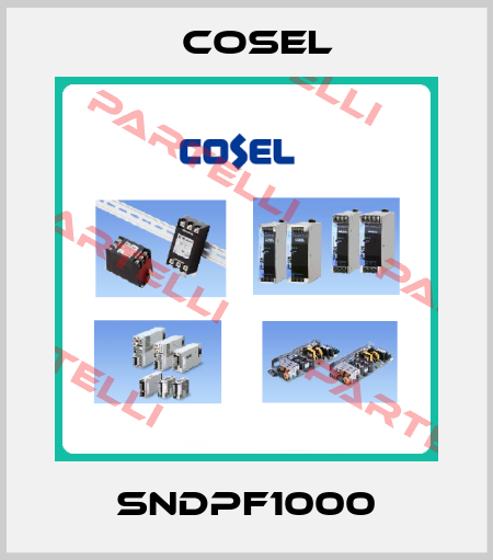 SNDPF1000 Cosel