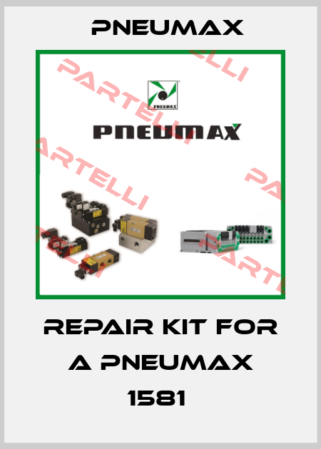 repair kit for a Pneumax 1581  Pneumax