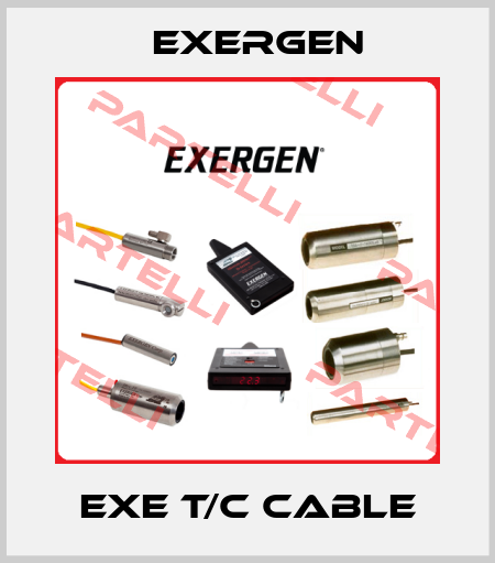 EXE T/C CABLE Exergen