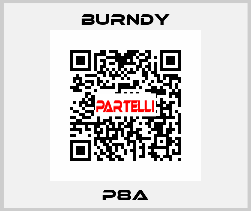 P8A Burndy