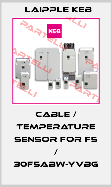 cable / temperature sensor for F5 / 30F5ABW-YVBG LAIPPLE KEB