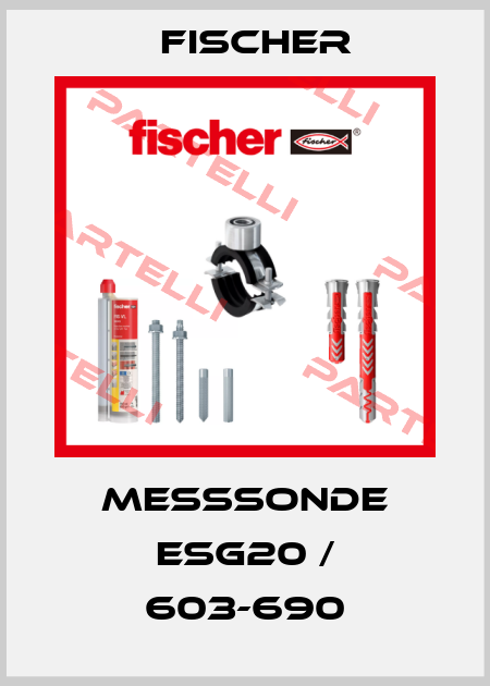 MESSSONDE ESG20 / 603-690 Fischer