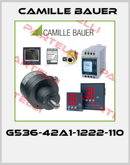 G536-42A1-1222-110  Camille Bauer