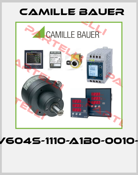 V604s-1110-A1B0-0010-1 	 Camille Bauer
