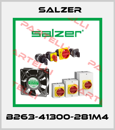 B263-41300-281M4 Salzer