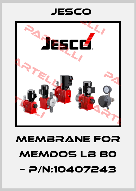membrane for MEMDOS LB 80 – P/N:10407243 Jesco