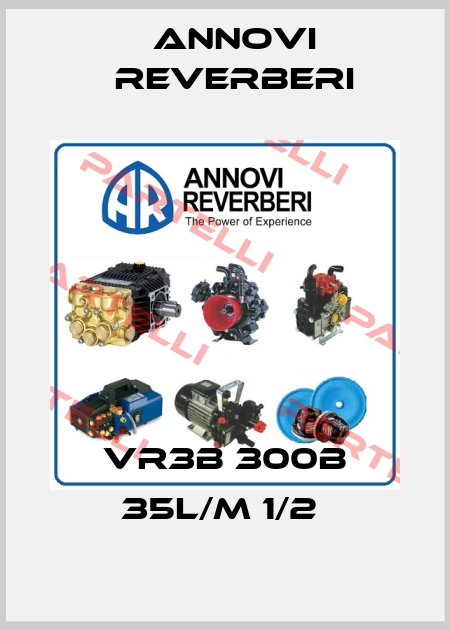 VR3B 300B 35L/M 1/2  Annovi Reverberi