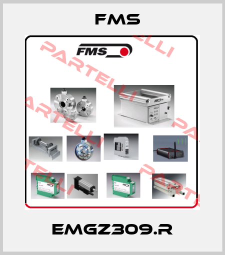 EMGZ309.R Fms