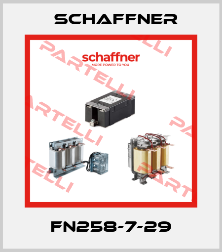FN258-7-29 Schaffner