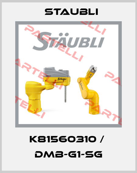 K81560310 /  DMB-G1-SG Staubli