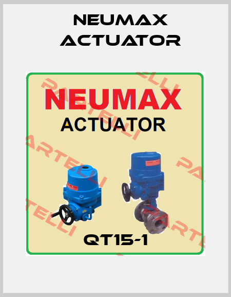 QT15-1 Neumax Actuator