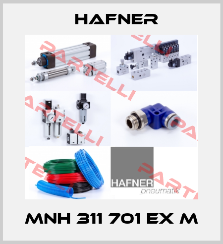 MNH 311 701 Ex m Hafner