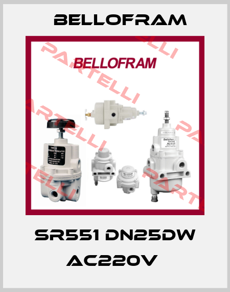 SR551 DN25DW AC220V  Bellofram